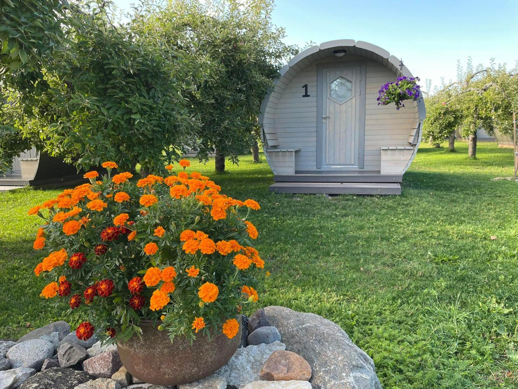 Vetsi Talli Holiday Village Kassari Zewnętrze zdjęcie